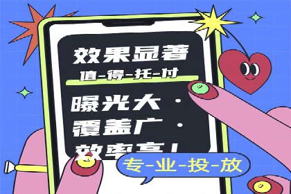 百度竞价代运营成功案例分享